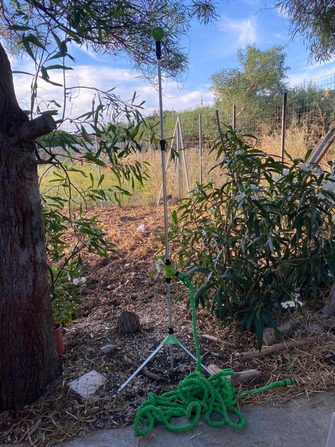 Apartmán La Casa Del Gelso Tonnara di Bonagia Exteriér fotografie