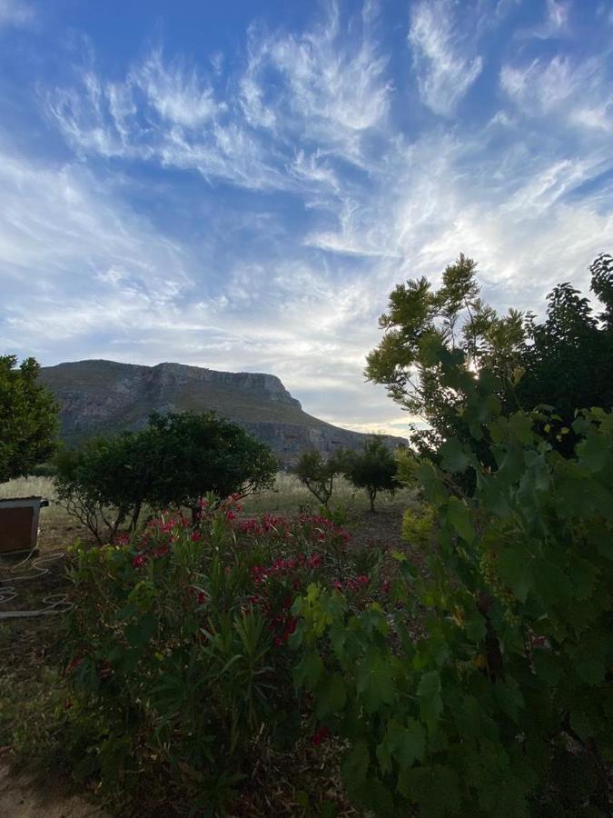 Apartmán La Casa Del Gelso Tonnara di Bonagia Exteriér fotografie