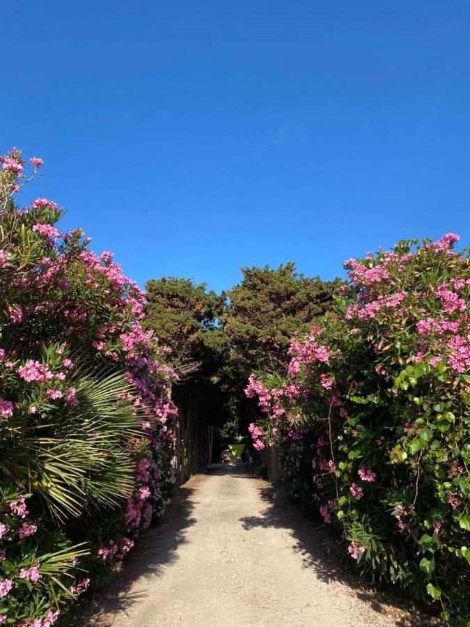 Apartmán La Casa Del Gelso Tonnara di Bonagia Exteriér fotografie